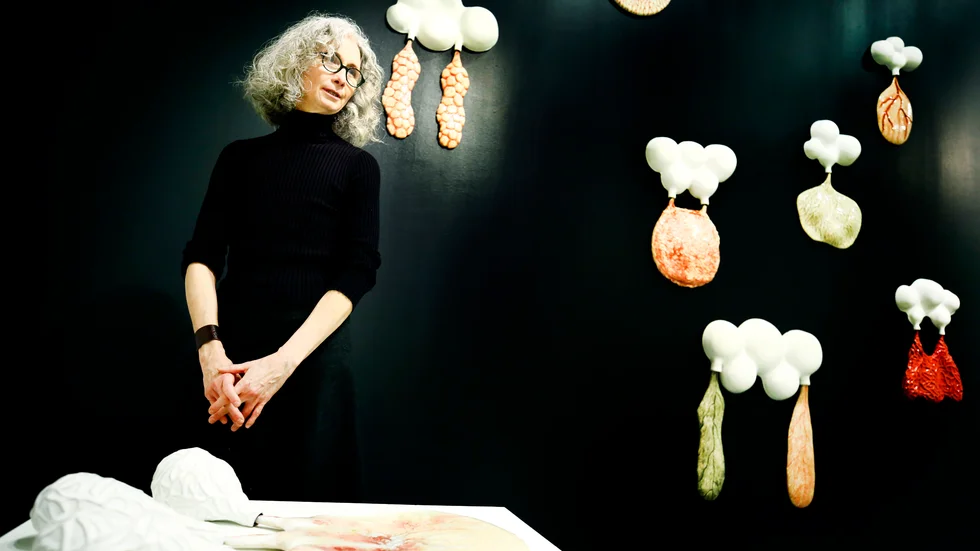 Maria Skärlund skapade 2018 en stor mängd livmödrar i keramik till sin utställning "Invändighet" på Eskilstuna konstmuseum. Klimakteriekonst, kallar hon det själv.