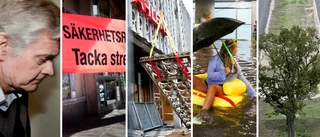 Här har du ditt 2019, nyhetsuppland!