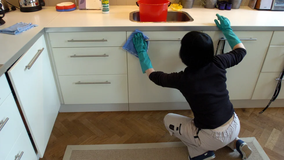 Rut-reformen har gjort - och gör - stor nytta i människors vardagsliv, liksom för alla som har fått en första chans till ett vitt jobb.