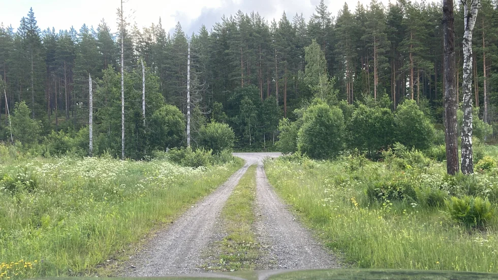 Det omfattande skogsbilvägnät utgör en del av landsbygdens blodomlopp som ger tillgång till också mer avlägsna platser, skriver Hans Lindberg, Skogssällskapet i Södermanland.