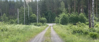 Skogen gör skillnad för Södermanlands beredskap