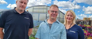 Årets sommarblommor i Västervik – samarbete mellan företagen