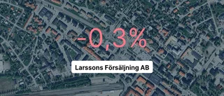 Så gick det för Larssons Försäljning AB under 2023