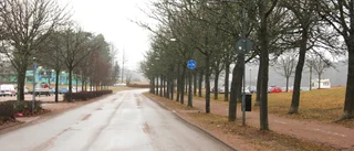 Med spårvägen försvinner Uppsalas grönska
