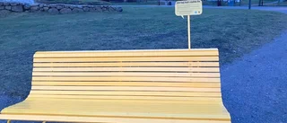 Marie, 52, vill ha parksoffor för vänliga möten