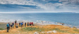Fototur till Lilla Karlsö     