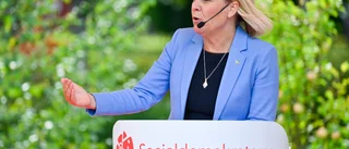 S borde ha svaret på vad vi vinner på mer socialism