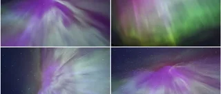Se nattens bilder från när himlen dansade i sprakande färger