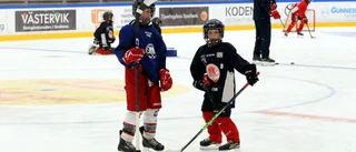 VIK-ledningens mål: hålla klubben kvar i Hockeyettan