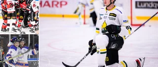 Nu är allsvenska lånet på plats: "Har mött Piteå en hel del"