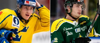 Dagen D för övergångar – då förstärker Piteå Hockey truppen