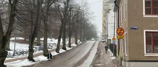 Gps:en ledde fel – föraren vill inte ha böter 