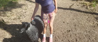 Till minne av Ingrid Dahlbäck 