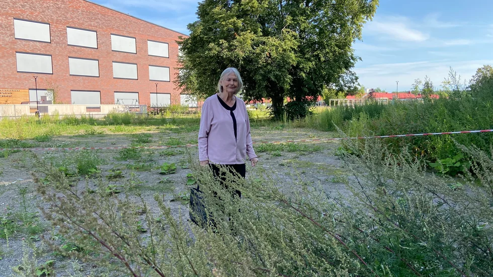 Inga-Lill Lindström mitt ibland ogräset invid Westerlundska Gymnasiet.