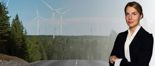 Om inte regeringen agerar, måste någon annan göra det