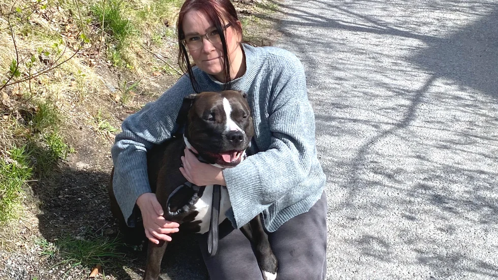 Laila Karlsson och Chica av rasen american bully passar sig för vatten den närmaste tiden efter dramat i Bönnern.