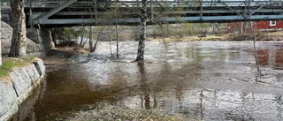 Gul varning för höga flöden i älven