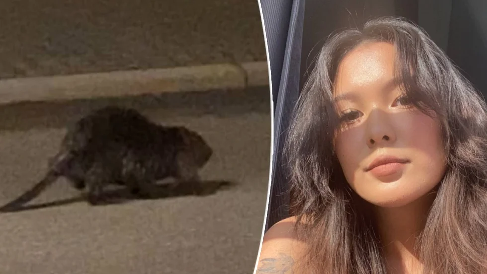 Mikaela Talläng, 21, stötte på en bäver på väg hem från jobbet.