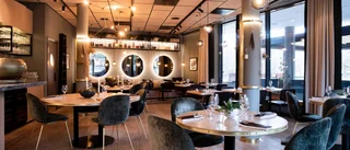 Experternas betyg: Så bra är restaurang Jord – enligt White Guide
