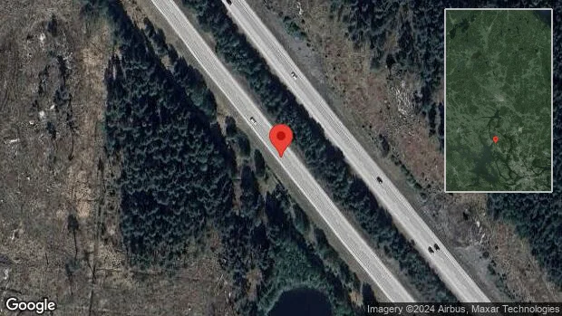 Rådjur innanför viltstängslet på E18
