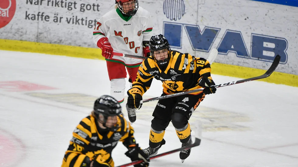 Sara Bjurvén stanna i Skellefteå AIK.