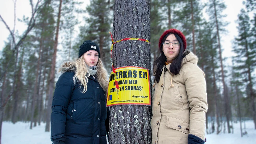 25-åriga Lan Pham från Helsingborg och 27-åriga Karolina Carlsson från Borås tillhör de aktivister som sedan i somras vaktar länets skogar från avverkning.