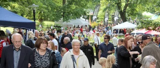 Så ser planerna ut för nya Trädgårdsdagen