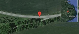 Fallna träd skapar problem i trafiken på väg 263