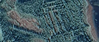 Ägarbyte för gård i Manjärv