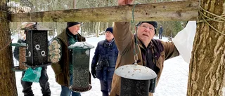 50 kg jordnötter, vildsvinsspäck och säckvis med solrosfrön – här matas småfåglarna av entusiaster