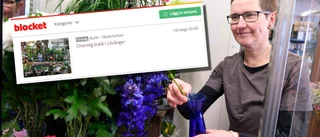 Blomsterbutik, spelombud och café – nu ska anrika familjeföretaget säljas