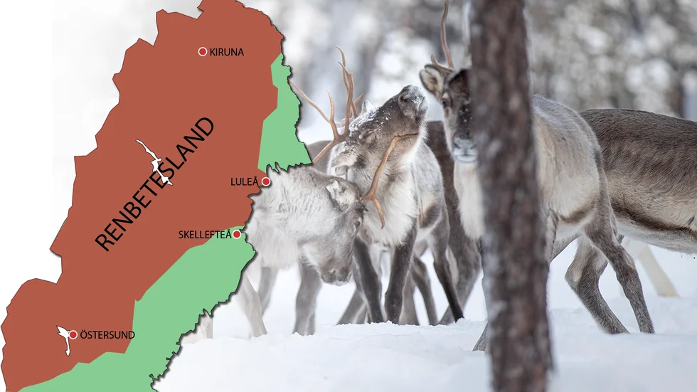 Regeringens beslut om gruva i Kallak kan få stora konsekvenser för all sorts exploatering. "Säger man nej med hänvisning till störning i renbetesland så kan det påverka nästan halva Sveriges yta", säger Nils Jansson, biträdande professor i Malmgeologi på LTU