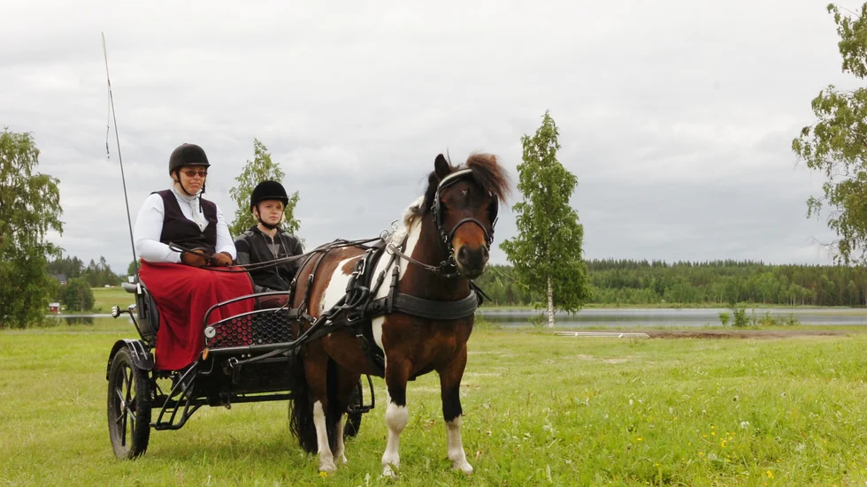 GODKÄNDA. Anna–Carin Carlsson, Julia Lundman och Pegasus klarade alla tre grenar. Foto: Peter Wikberg.