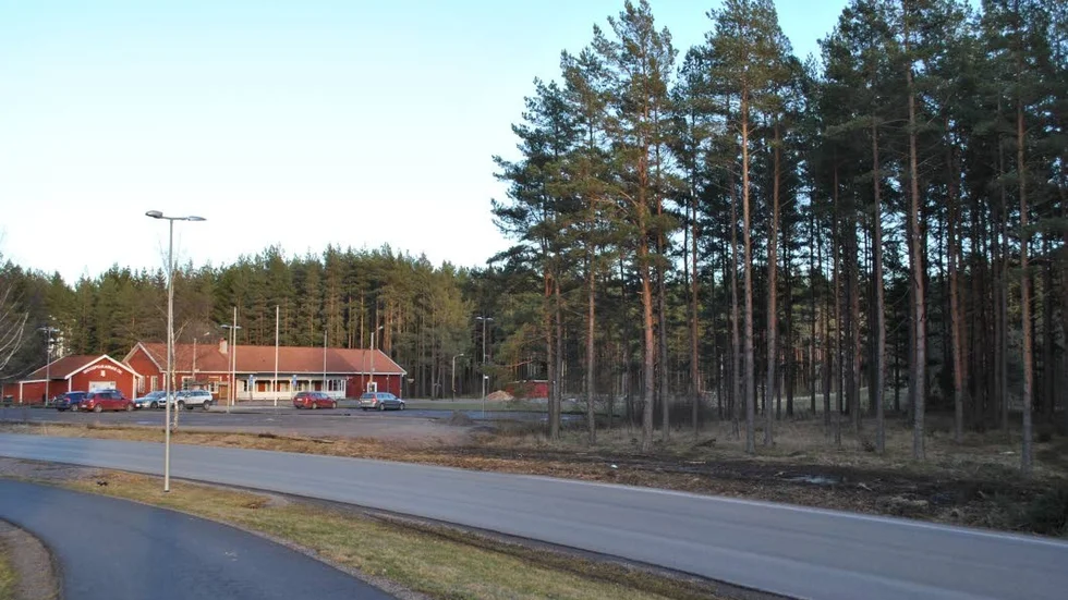 I skogsområdet mellan SOK-stugan och Kompassgatan är platsen för den nya skolan.