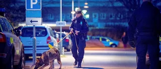 Polishund bet tjuv i vaden