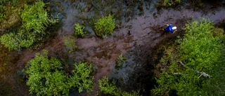 Årets bilder signerat Anders Forngren