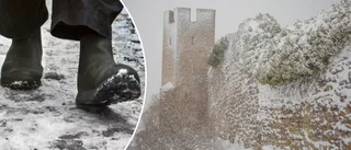 Visbybo vågar sig inte ut på promenad förrän regionen sandat