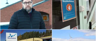 "Det roligaste uppdraget jag haft i mitt liv." • Dan Nilsson i personlig intervju