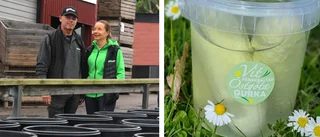 Så vill de skydda den vita, färsksaltade östgötagurkan – Beslut ska tas i EU-kommissionen