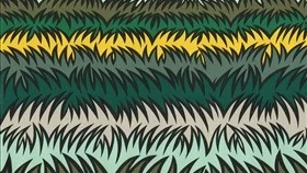 ”Andra stället” är skriven av Rachel Cuskm Översatt av Niclas Hval och utgiven av Albert Bonniers förlag.