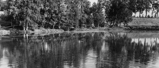 Burträsk - okänt årtal