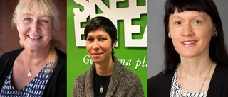 Tre nya ansikten på näringslivskontoret