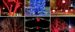 Julbelysningen har tänts – vilken är din favorit?