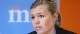 Jarl (M) positiv till stora delar