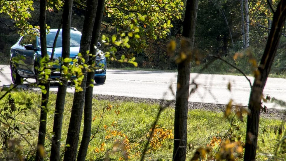 Viltrikt. Här inne i skogen kan ett rådjur eller annat vilt vara på väg att korsa väg 215 mellan Skärblacka och Finspång. Är du beredd?