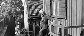 En historisk tillbakablick på kriminella gäng