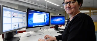 Studievägledarens bästa tips