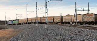 Vill satsa på bättre transporter längs Bottenviken