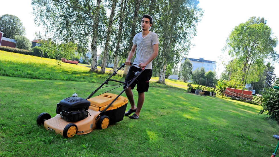 Chans för unga. Ferieverksamheten har utretts inom kommunen.