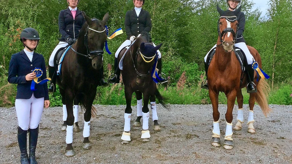 Segrande laget. Ryttarna från Skellefteå Ridklubb är från vänster Nelly Bergström, Linnea Bergman, Petra Edström, Janina Kuula.